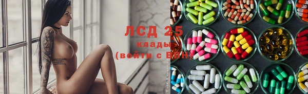 спиды Каменногорск