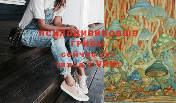 прущая мука Инсар